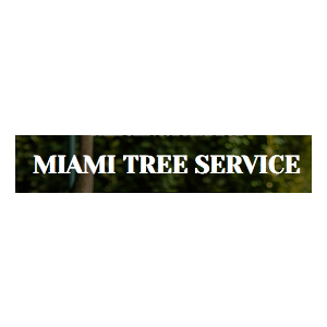 Miami Tree Service