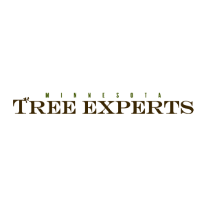 Minnesota Tree Experts