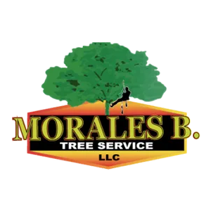 Morales Brothers Tree Service, LLC