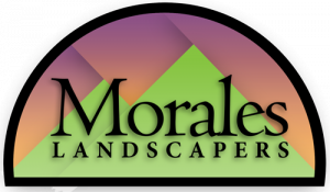 Morales Landscapers