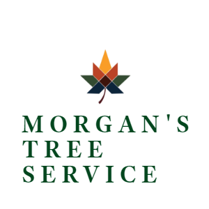 Morgan_s Tree Service