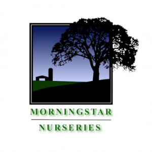 Morningstar Nurseries