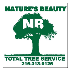 Nature's Beauty Tree Service