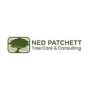 Ned Patchett Tree Care _ Consulting