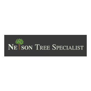 Nelson Tree Specialist
