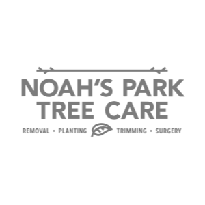 Noah_s Park Tree Care