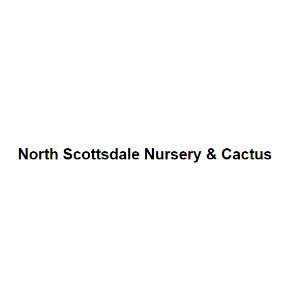 North Scottsdale Nursery _ Cactus