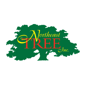 Northeast Tree, Inc.