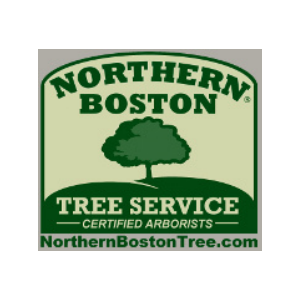 Northern Boston Tree Service Inc.