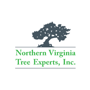 Northern Virginia Tree Experts, Inc.