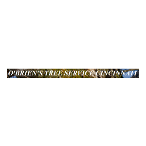 O_Brien_s-Tree-Service-Cincinnati