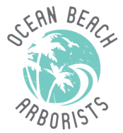 Ocean-Beach-Arborists