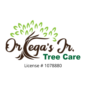 Ortega_s Jr Tree Care