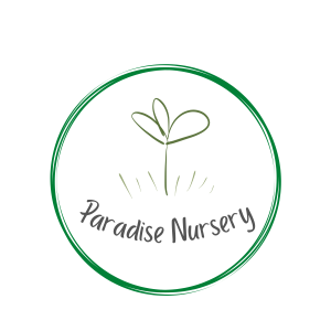 Paradise Nursery, LLC.