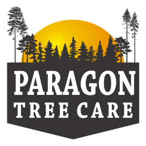 Paragon Tree Care