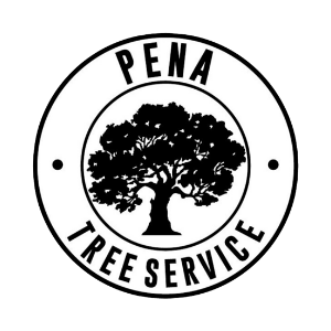 Pena Tree Services