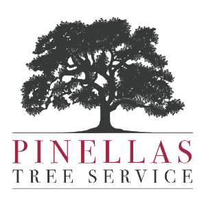 Pinellas Tree Service
