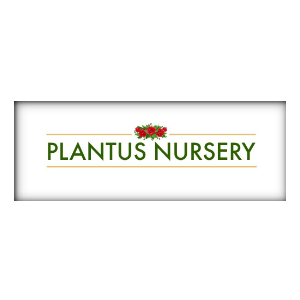 Plantus Nursery