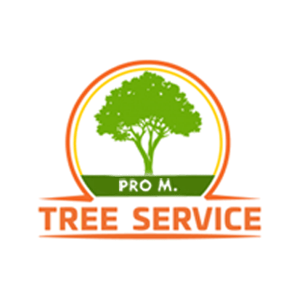 Pro M Tree Service