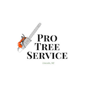 Pro Tree Service
