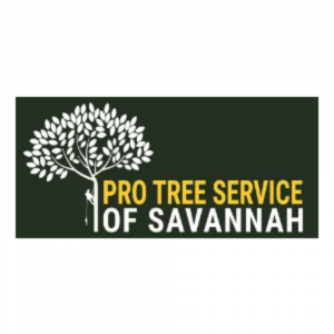 Pro Tree Service Savannah