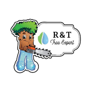 R _ T LLC
