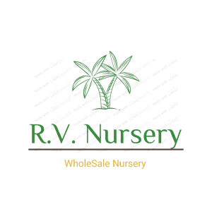 R.V. Nursery