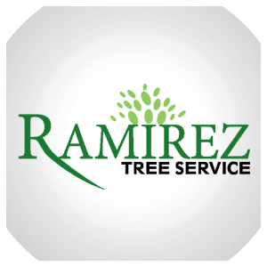 Ramirez Tree Service 512