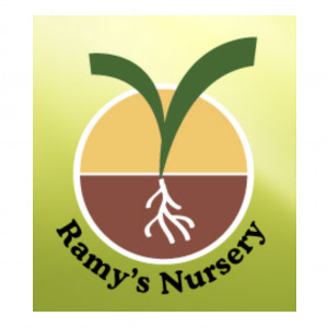 Ramy_s Nursery