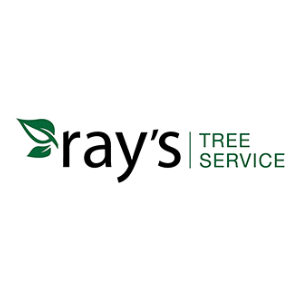 Ray's Tree and Lawn Care