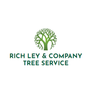 Rich Ley _ Company Tree Service