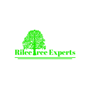 Rilee Tree Experts