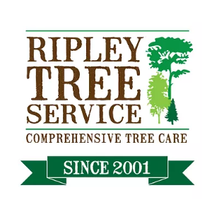 Ripley Tree Service