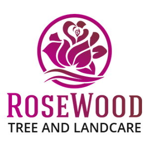 Rosewood Tree and Landscape