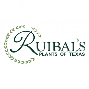 Ruibal_s Plants of Texas