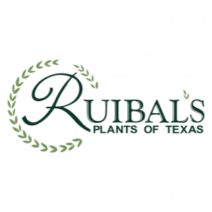 Ruibals Plants of Texas