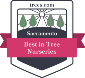 Sacramento Tree Nurseries Badge