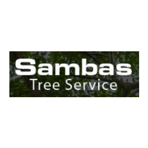 Sambas Tree Service