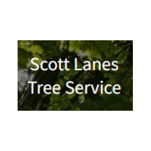 Scott Lanes Tree Service