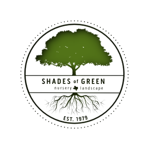 Shades of Green Nursery _ Landscape