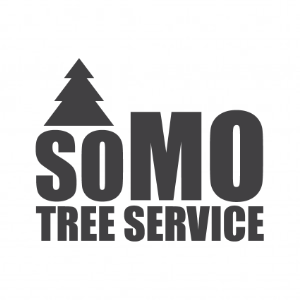 SOMO Tree Services