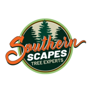 Southern Scapes Tree Experts