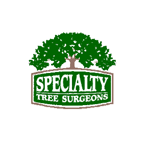 Specialty Tree Surgeons, Inc.