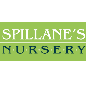 Spillane_s Nursery and Landscape
