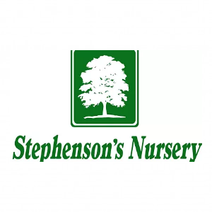 Stephenson_s Nursery