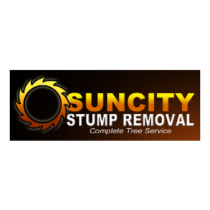 Suncity Stump Removal