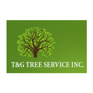 T_G Tree Service