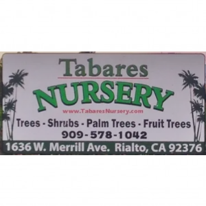 Tabares Nursery