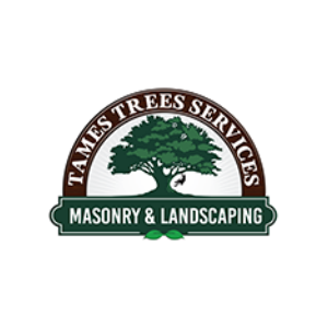 Tames Tree Services Masonry _ Landscaping