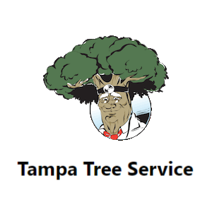 Tampa Tree Service